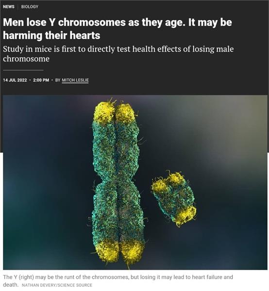 از دست رفتن کروموزوم  Y در مردان به دنبال افزایش سن و رابطه آن با اختلالات قلبی - عروقی