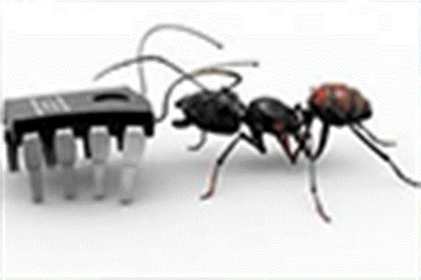 الهام از مورچه برای ساخت نانو روبات‌های خودتمیز شونده