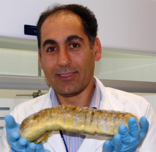 استخراج " ساپونین" از  16 گونه خیار دریایی نتیجه تحقیقات دکتر یداله بهرامی