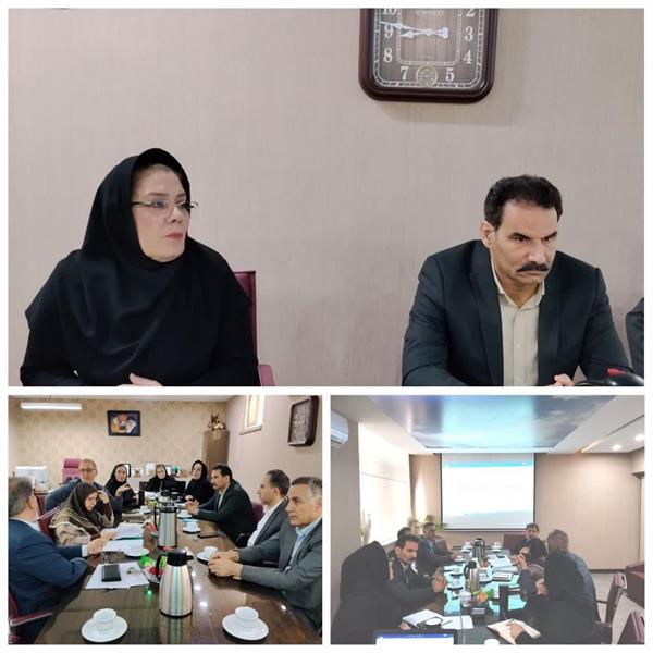 کمیته راهبردی معاونت تحقیقات و فناوری برگزار شد.