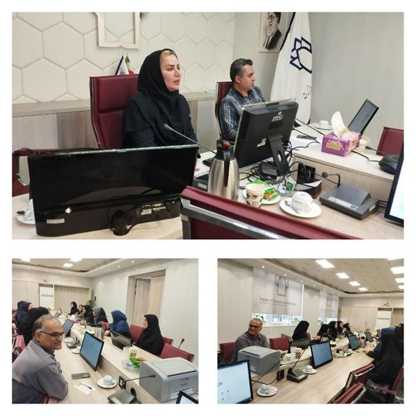 کارگاه روش های توانمند سازی نیروی انسانی در حوزه ناباروری، درمان ها و داروهای ناباروری