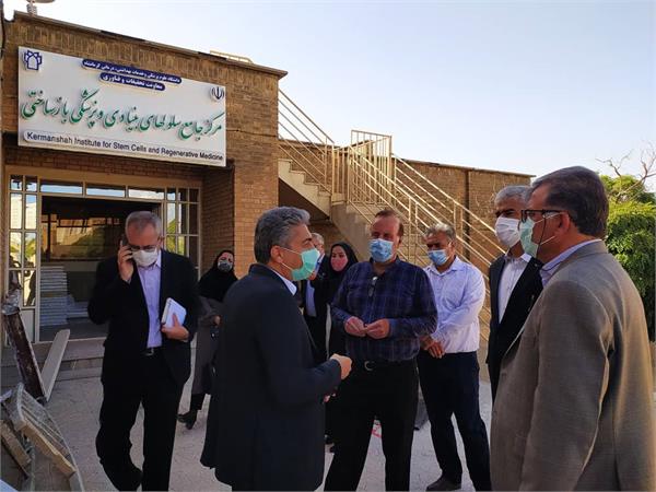 دکتر نجفی معاون تحقیقات و فناوری وزارت بهداشت از مراحل آماده سازی مرکز جامع آزمایشگاه های تحقیقاتی دانشگاه علوم‌پزشکی کرمانشاه بازدید کرد.
